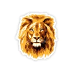 Stick Store Stick Store