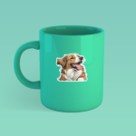 Stick Store Stick Store