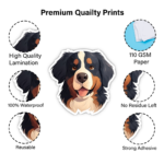 Stick Store Stick Store